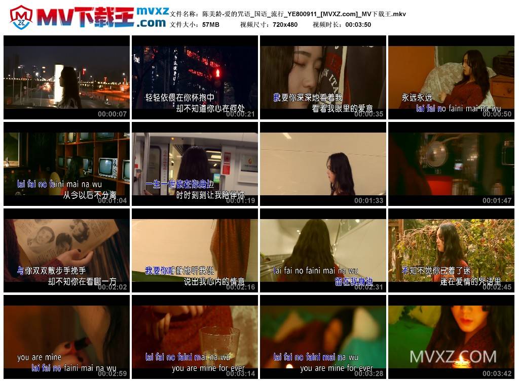 陈美龄-爱的咒语_国语_流行_YE800911